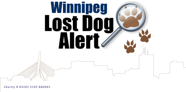 Winnipeg Lost Dog Alert